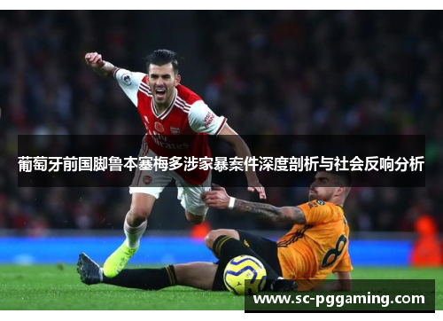 葡萄牙前国脚鲁本塞梅多涉家暴案件深度剖析与社会反响分析