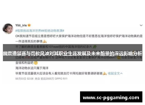 魏震遭禁赛与罚款风波对其职业生涯发展及未来前景的深远影响分析