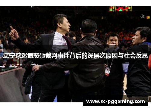 辽宁球迷愤怒砸裁判事件背后的深层次原因与社会反思
