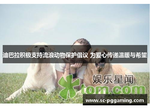 迪巴拉积极支持流浪动物保护倡议 为爱心传递温暖与希望