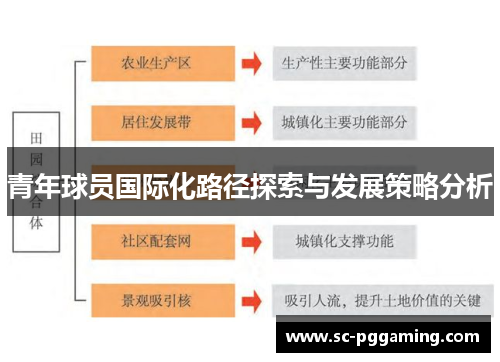 青年球员国际化路径探索与发展策略分析